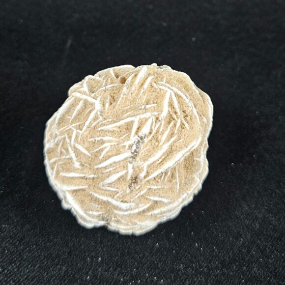 Desert Rose - Picture 2 of 4